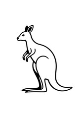 kangaroo vector illustration