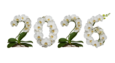 White orchid flowers shaped as 2026 numbers on white background, elegant botanical year design perfect for greeting cards and calendars