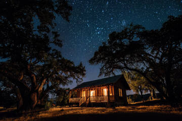 Obraz premium A cabin under a blanket of stars. Trees cast long shadows around it