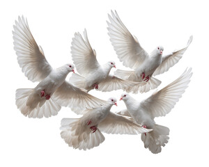 Flock of doves flying together