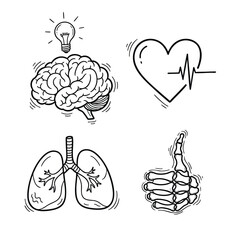 A collection of handdrawn medical and anatomical icons featuring a brain heart lungs and skeleton hand.