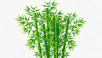 Obraz premium Bamboo growth and beauty natural environment botanical art tranquil setting aesthetic viewpoint
