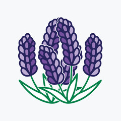 Make a Professional Lavender Vector Image