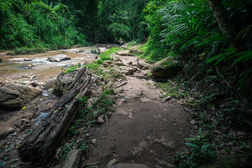 Scenic Pathway Along Water Stream Surrounded by Lush Greenery