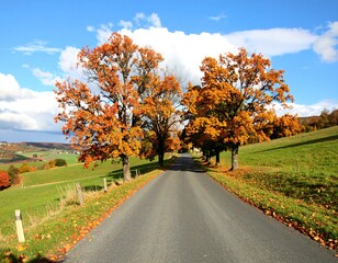Fototapeta premium Autumnal road through a countryside