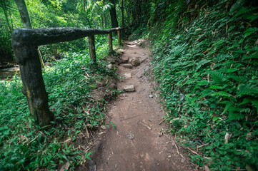 Scenic Pathway Surrounded by Lush Greenery near Waterfall in Chiang Mai