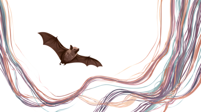 Bat soaring through the air with colorful artistic lines, a dynamic, magical illustration isolated on white background