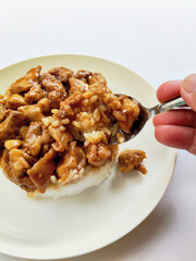 A Spoonful of Savory Teriyaki Chicken with a Glazed Sauce
