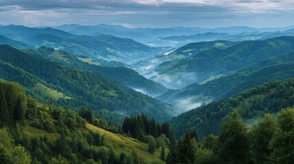 Fototapeta premium A Lush Summer Morning Among Rolling Mountain Hills