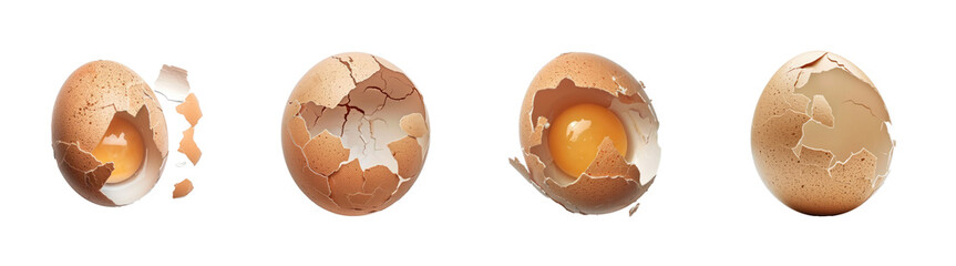 egg shell top view full length isolate on white background,