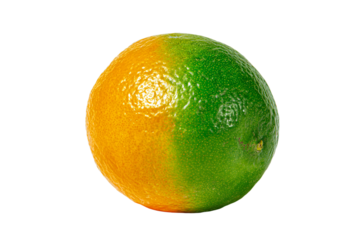 a green and orange with a yellow stripe