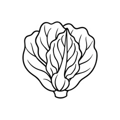 pak choi outline vector illustration line art