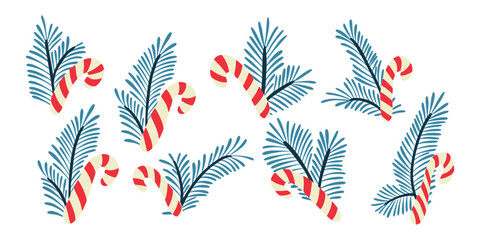 Set of candy canes and fir branches arranged in festive holiday combinations. Christmas illustration symbolizing winter decor, sweetness and seasonal celebration