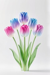 Naklejka premium A 3d artwork of a Gradient of tulips with a 3D glass effect, modern digital art, white base