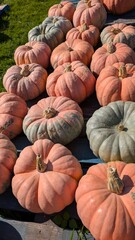 USA, Halloween, citrouilles de toutes les couleurs et formes