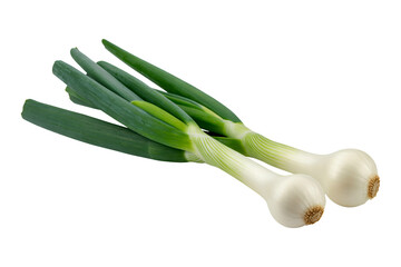 Fresh green onions against a ready for cooking use.