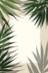 Fototapeta premium tropical palm leaves with shadow layers on white plaster walls, leaving for negative space
