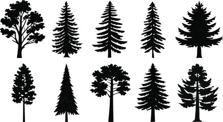 Obraz premium Collection of Black Tree Silhouettes nature forest