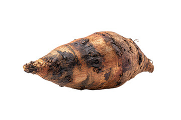 a close up of a tube of root
