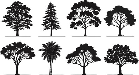 Fototapeta premium Silhouettes of diverse tree species in black and white