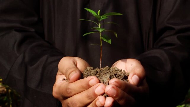 Close-up of a Person in Dark Clothes Holding a Small Green Seedling Plant and Soil in Their Cupped Hands, Symbolizing Earth Day and Conservation