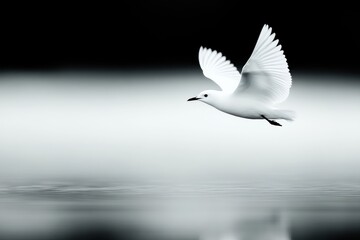 White Seagull Flying Over Water in Black and White