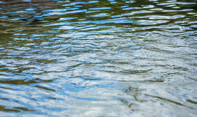 秋の柔らかい日差しを受ける川の流れのアップ07