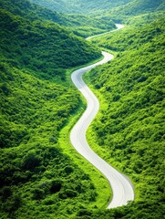 Winding Road Through Green Hills