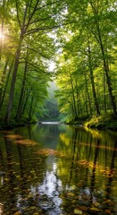 A tranquil forest stream reflects the vibrant green canopy, showcasing the serene beauty of nature's tranquility.