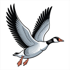 Illustration of a greater white fronted goose in mid flight with wings spread wide
