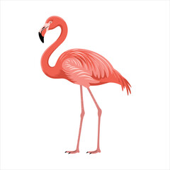 Vibrant watercolor illustration of a single pink flamingo standing tall