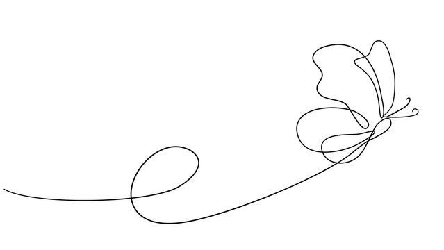 Butterfly line art