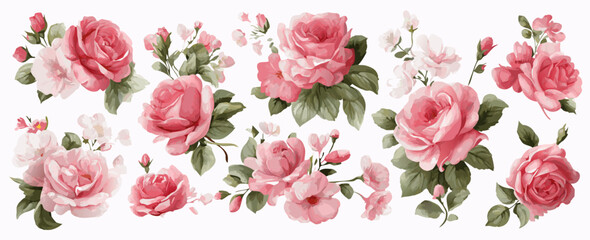 Set of Pink Roses and Green Leaves Floral Pattern Illustration for Elegant Decorative Design and Floral Motifs