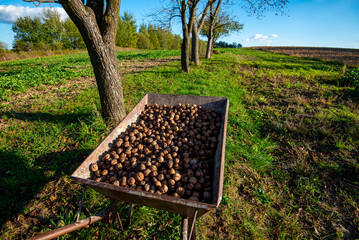 Fototapety na wymiar - Fototapeta24.pl