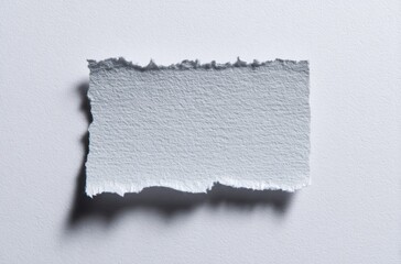 Ripped fragment of white paper with a rough, deckle-edge top and bottom, casting a subtle shadow on a blank, white surface