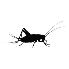 Silhouette of a cricket with long antennae and legs on a white background