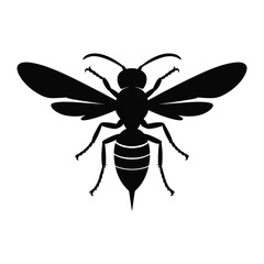 Silhouette of a wasp insect with spread wings and segmented body on a white background