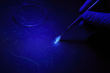 Naklejka premium Forensic trace evidence examination involves careful collection of fibers ultraviolet light, showcasing meticulous nature of forensic science. image captures gloved hand using brush to highlight