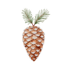 Pine cone with green needles on white background, concept of New Year and Christmas decorations, traditions  