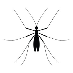 Detailed silhouette of a mosquito with long legs and antennae on white background