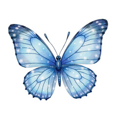 Obraz premium Blue butterfly illustration with intricate details and graceful wings 