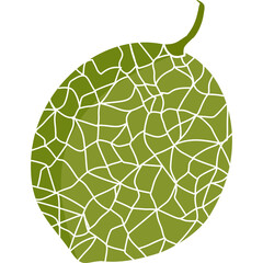 Vector illustration of whole cantaloupe melon with detailed green rind texture. Fresh tropical fruit design for healthy food and summer themes.