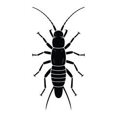 Detailed silhouette illustration of an earwig insect against a white background