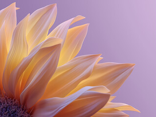 Obraz premium pink and yellow flowers