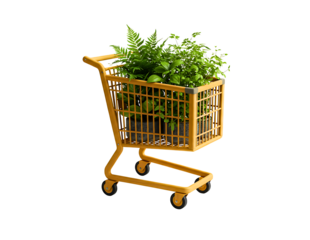 Green plant growing in a shopping cart isolated on transparent background