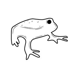 handdrawn frog