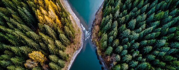 Obraz premium From above, a peaceful natural landscape reveals lush green forest islands encircled by calm and serene blue water