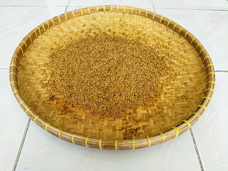 Dry the coriander in the sun. The traditional process of drying coriander.