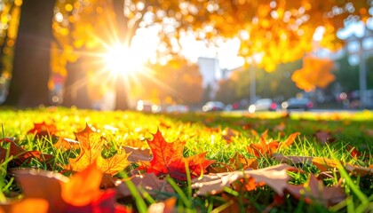 Ground-level view of vibrant autumn leaves scattered on lush green grass, with bright sunlight streaming through the golden foliage