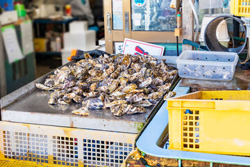 牡蠣の水揚げ直売所